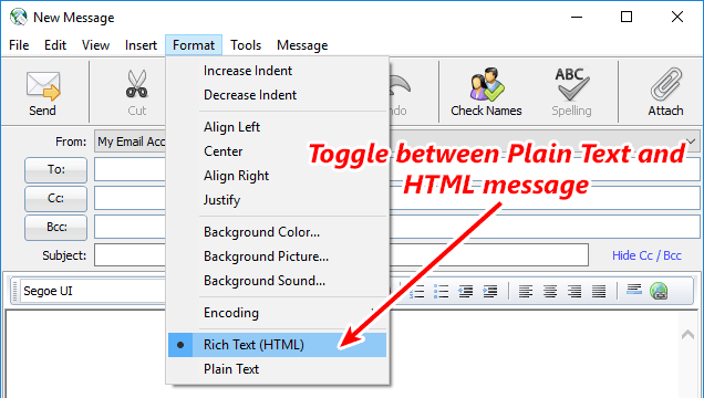 Message editor now fully supports plain text messages in addition to HTML messages